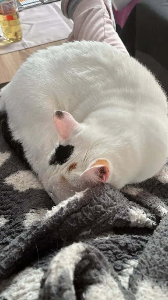 ❤️❤️❤️