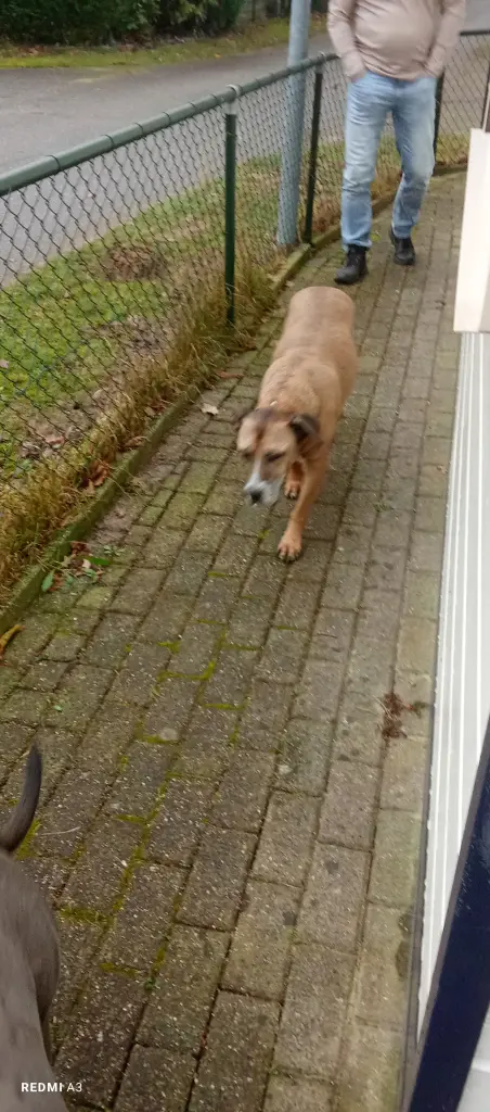 Bild von Charlie