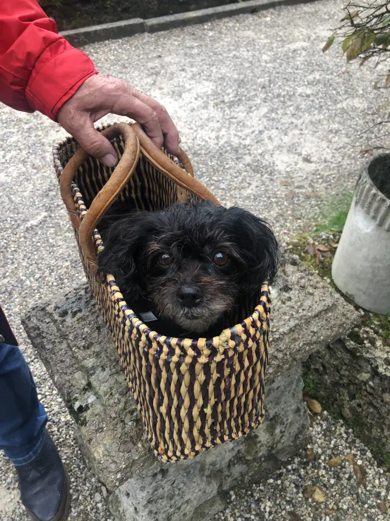 Auf Stadtrundgängen