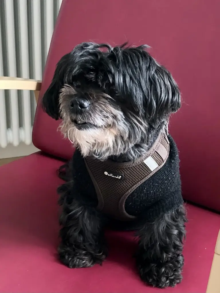 Immer bei uns! Unvergessen