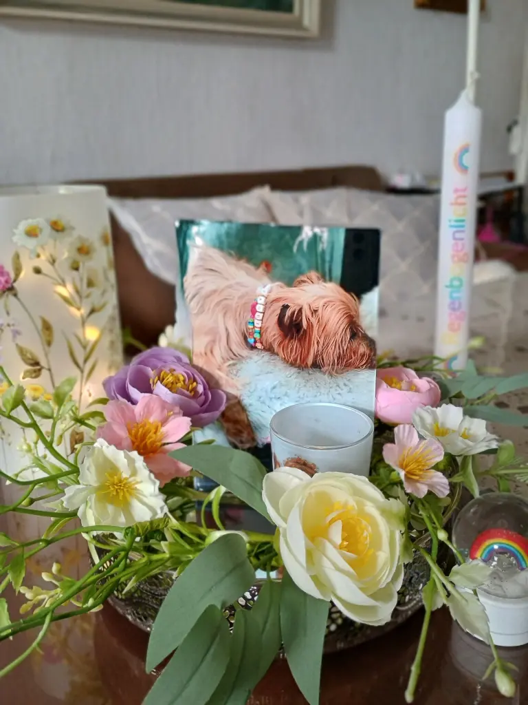 Condolence image of Petra Stahl