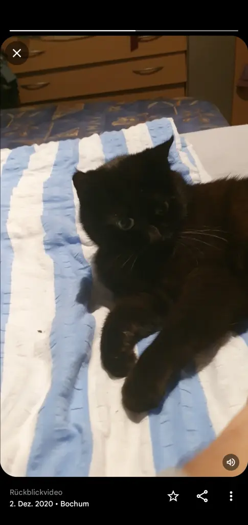 Condolence image of Danijela Huber