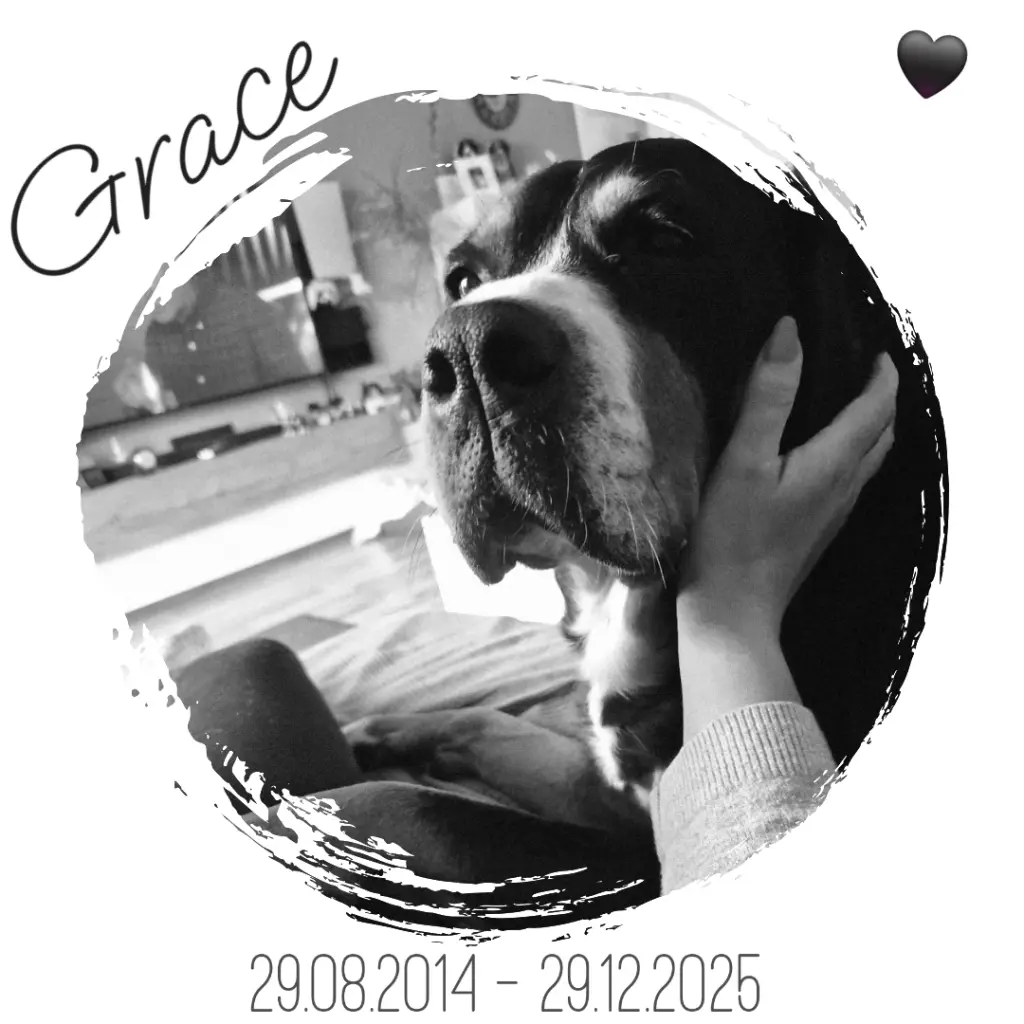 Bild von Grace