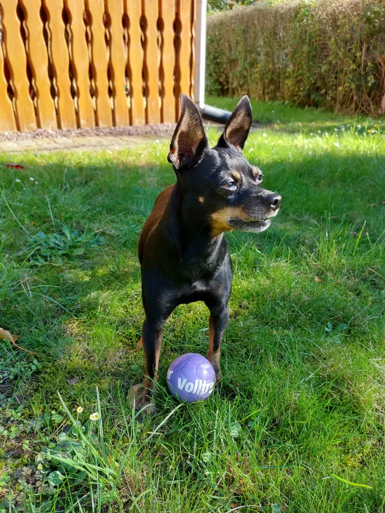 Bei Uroma& Uropa im Garten
