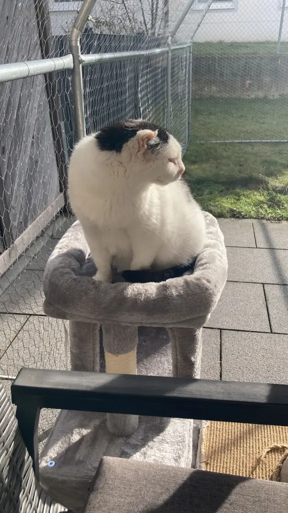 In seinem neuen Freilauf