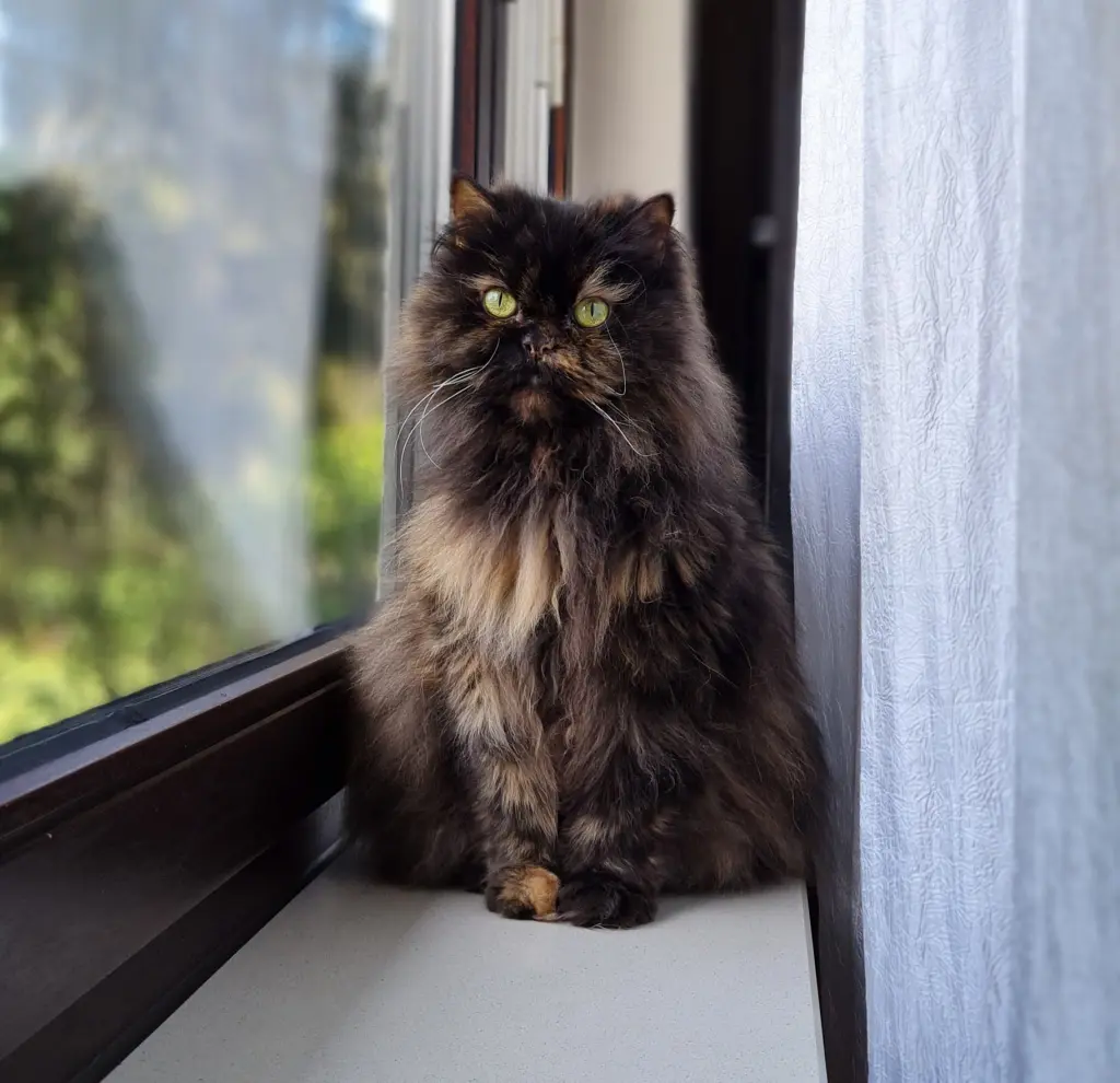 Bild von Finja