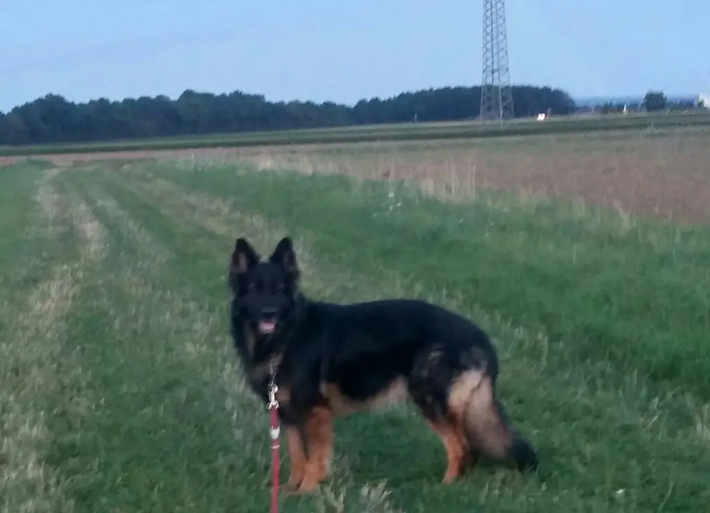 Condolence image of Jasmin Bartmann