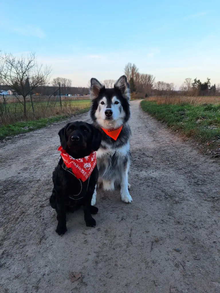 Condolence image of Nicole & Keanan Bennetts