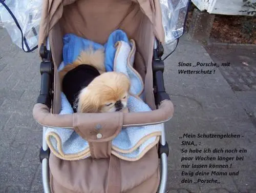 Image from ,,Mein Sternchen Sina,,