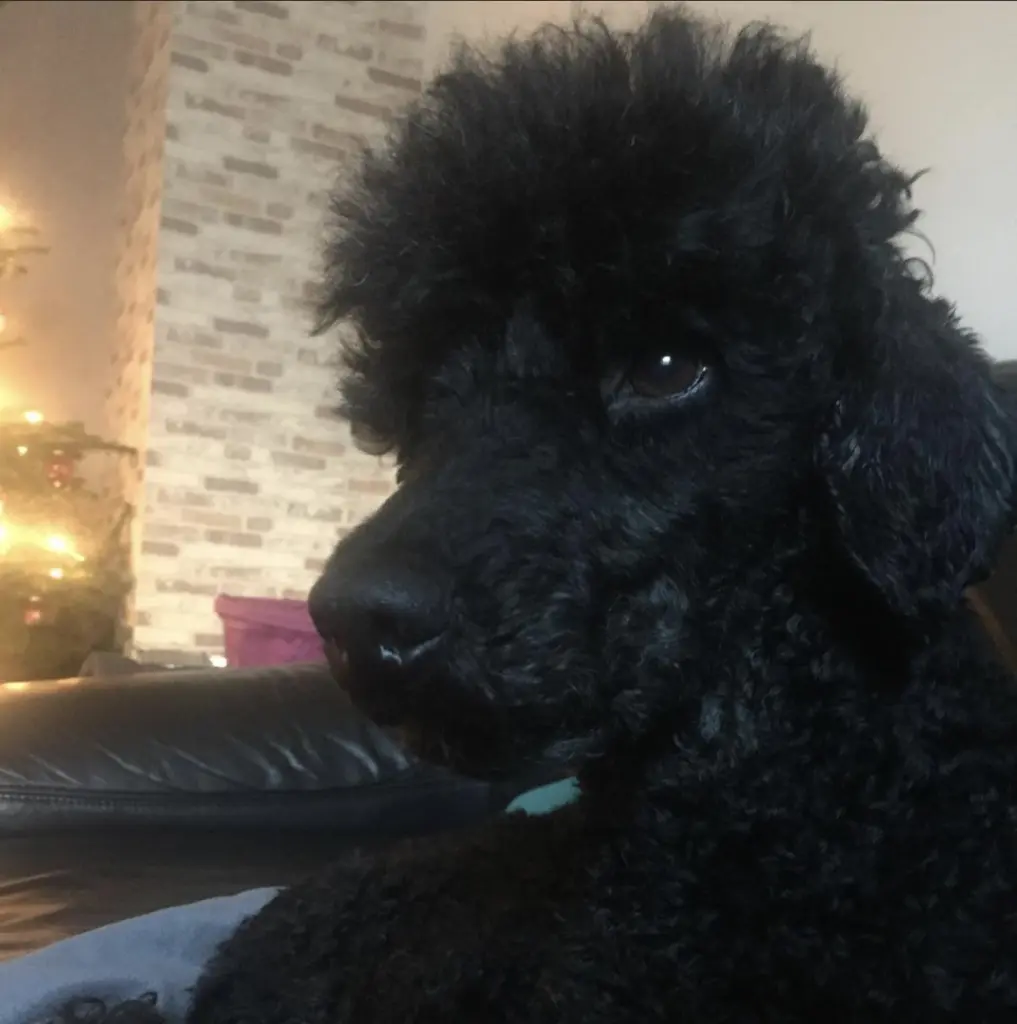 Condolence image of Bianca