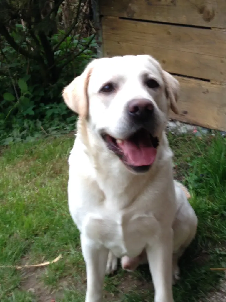 Bild von Farley