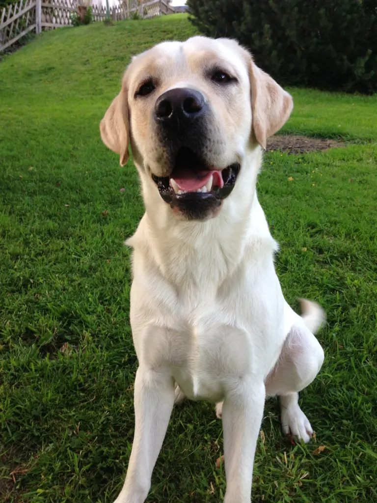 Bild von Farley