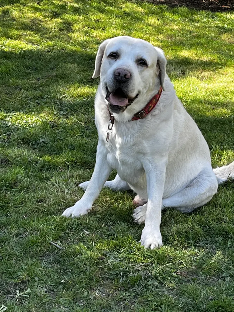 Bild von Farley