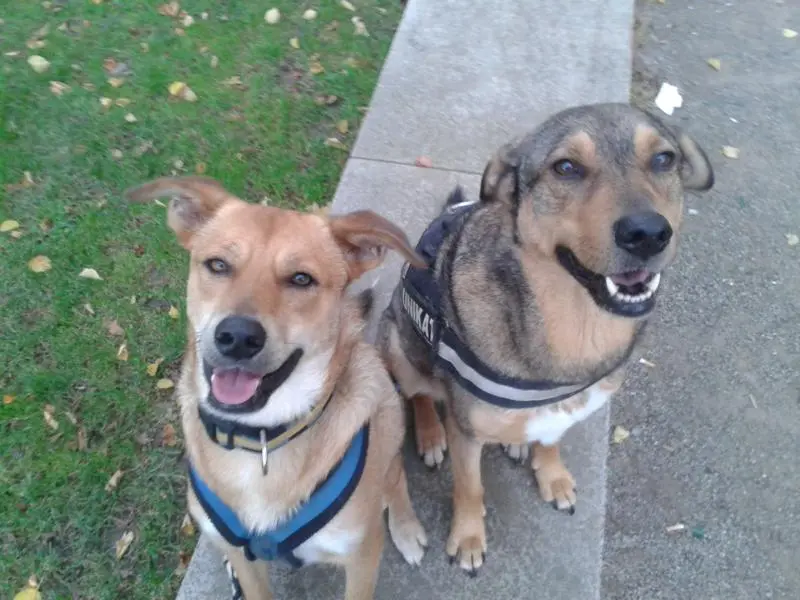 Bild von Jorko & Paul