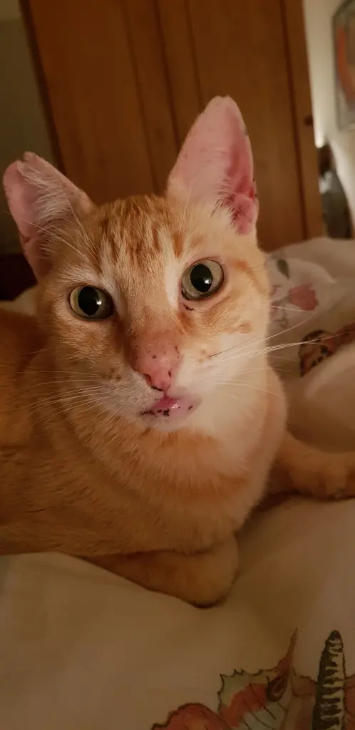 Image from Rusty