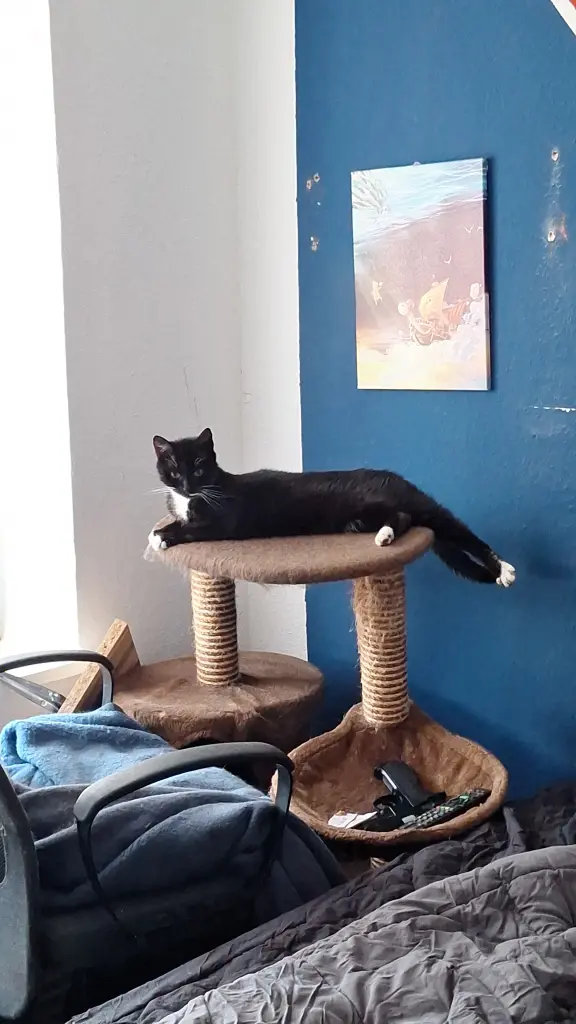 Condolence image of Kaine Horst