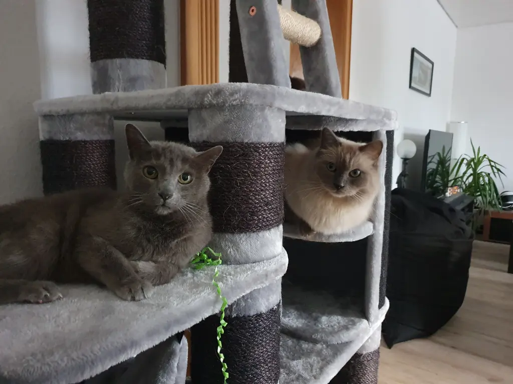 Lilith und Carlito