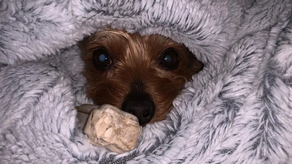 Hoffentlich sieht mich keiner