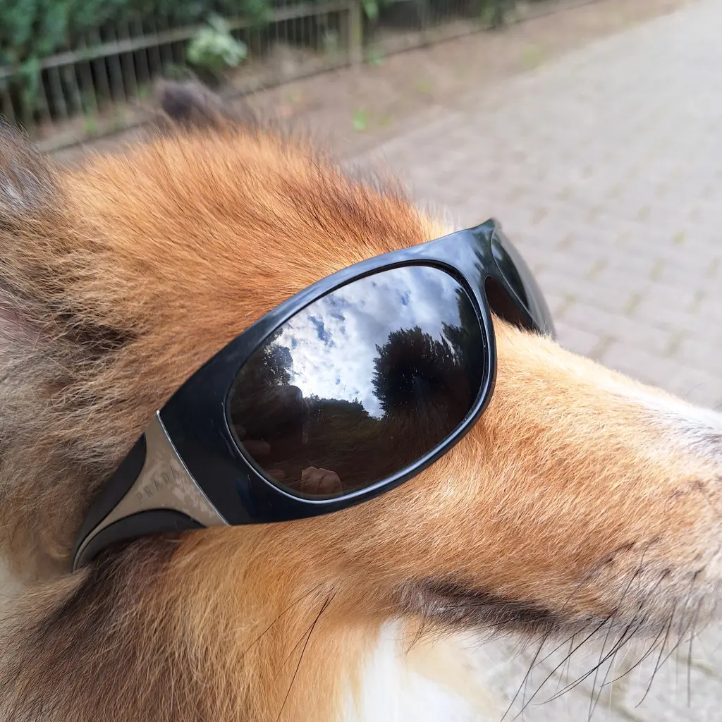 Schon auch cool....