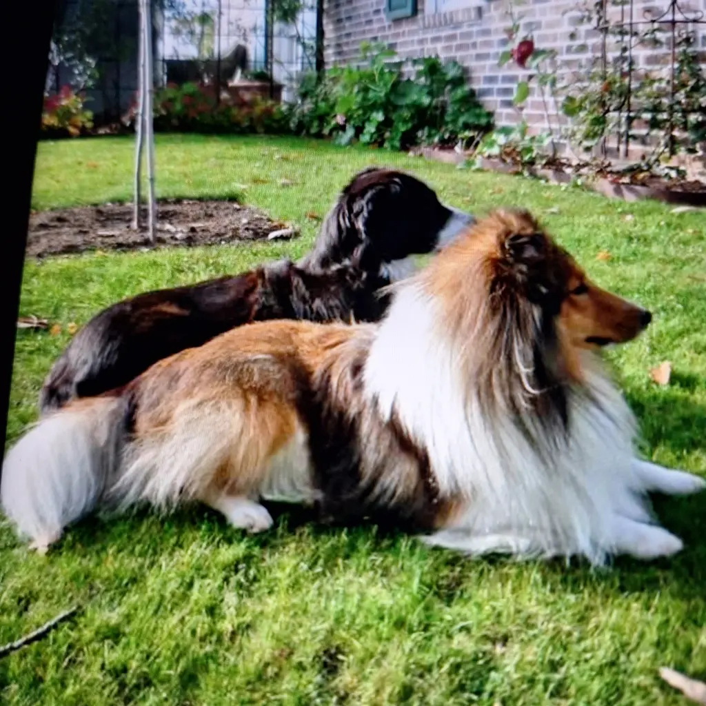 Mit 2 Jahren und Sunny.