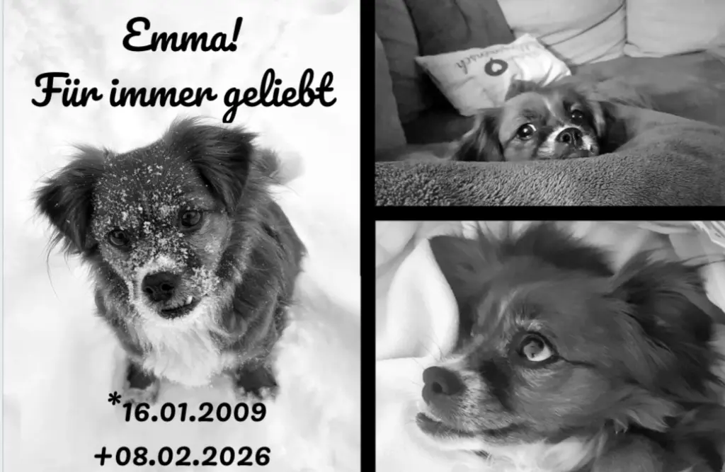 Image from Emma