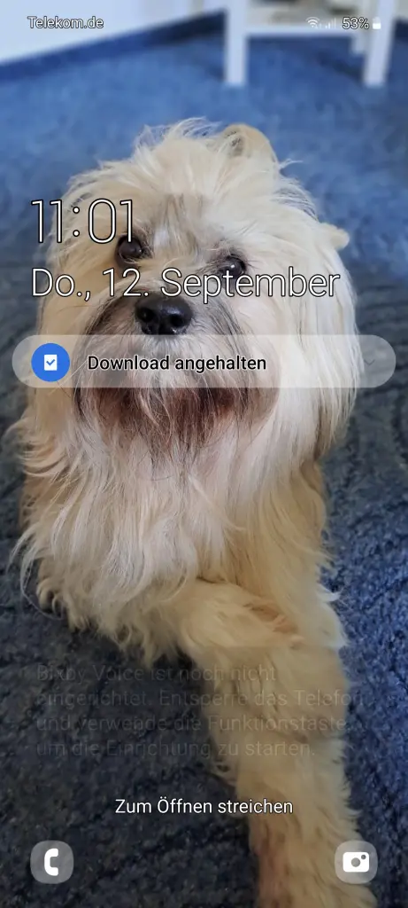 Image from Willi