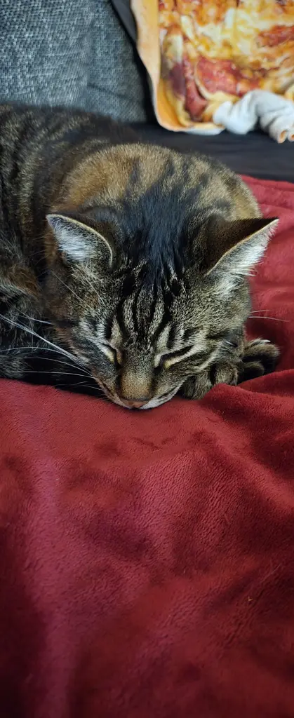 Image from Smokey