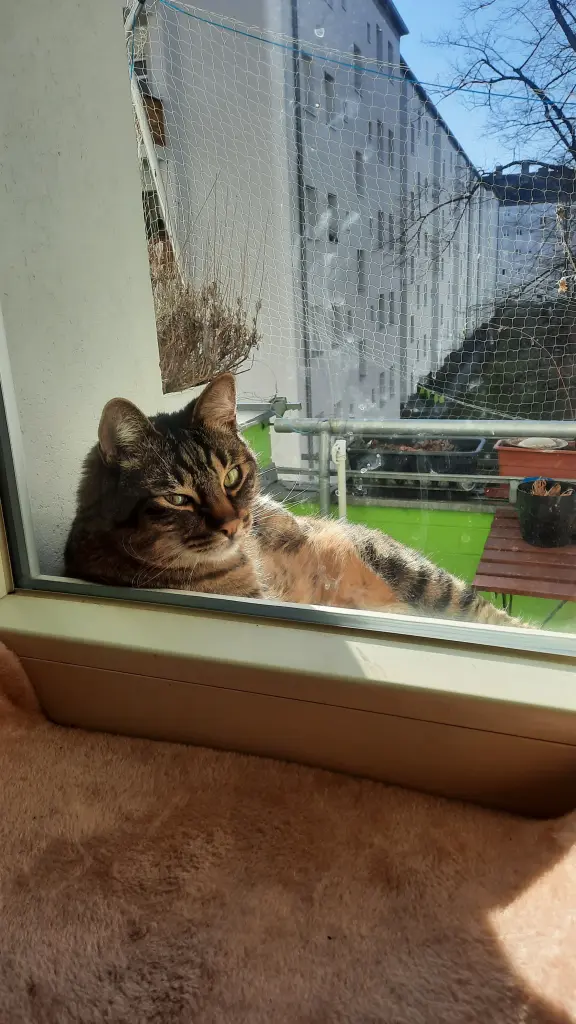 Image from Smokey
