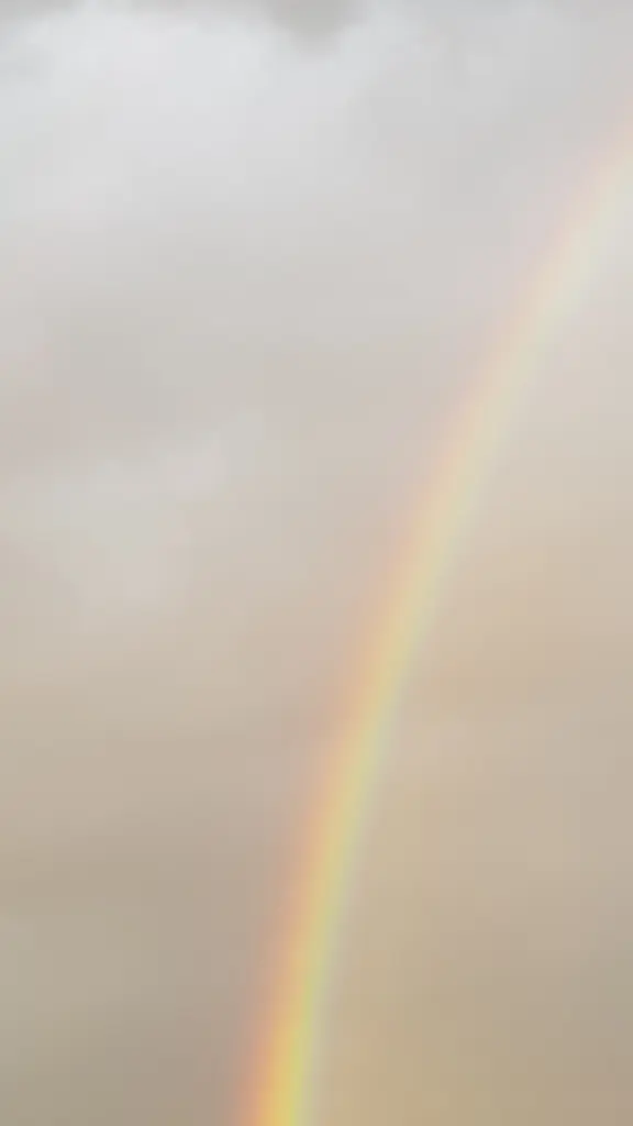 Condolence image of Michael V.