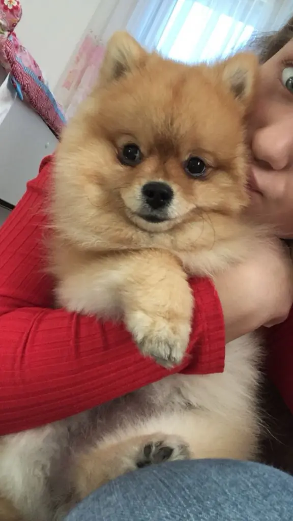 Andachtsbild von Liana Mojak