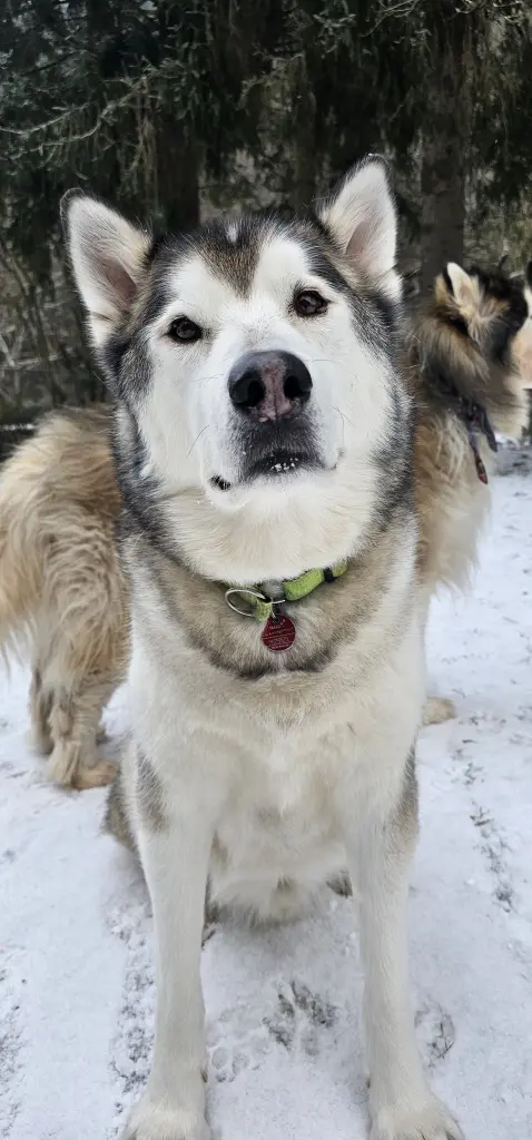 Image from Amarok