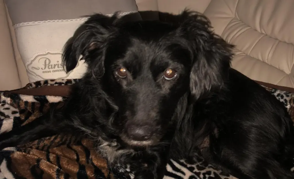 Condolence image of Jörn Gagelmann