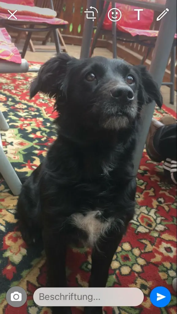 Image from Marry Lou