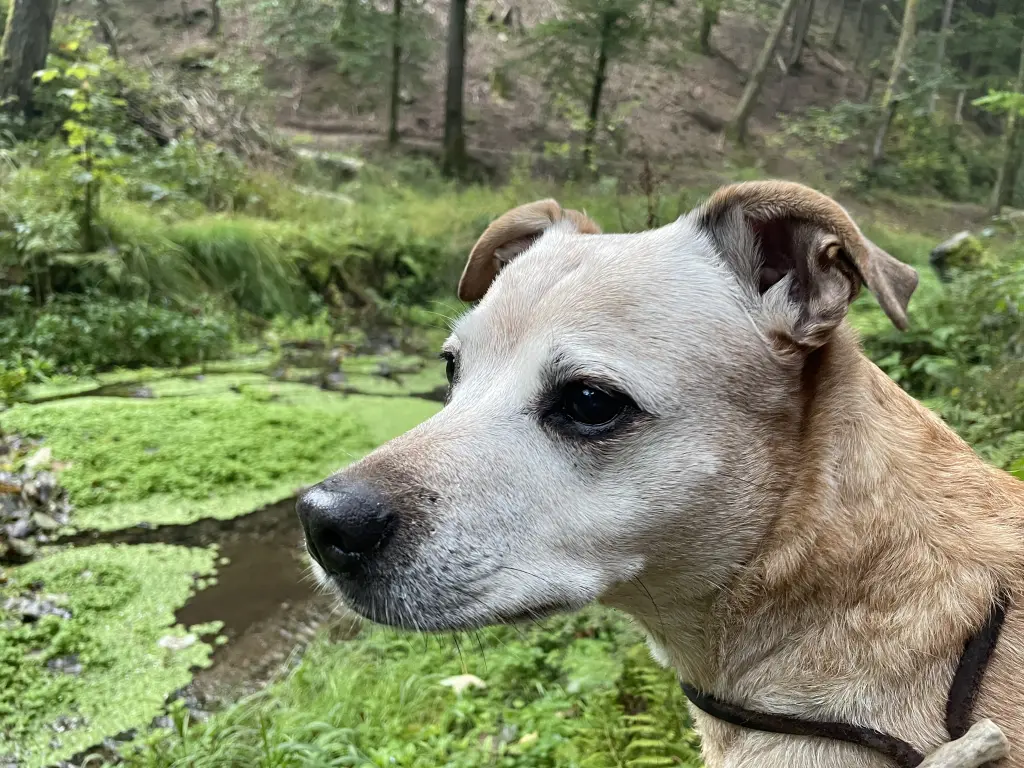 Condolence image of Sabrina