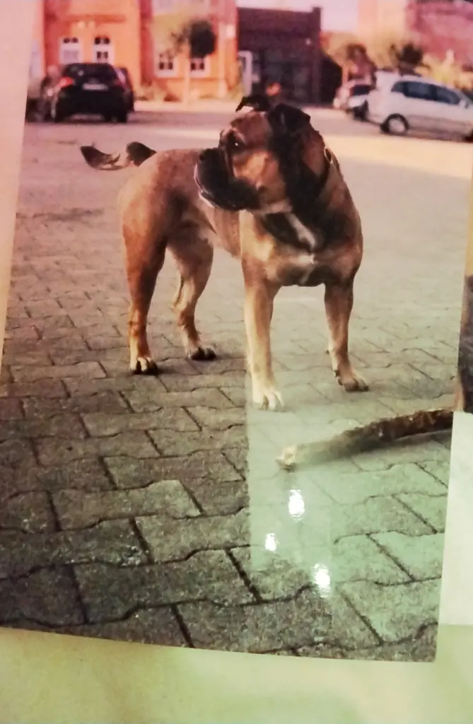 Immer Neugierig und verspielt