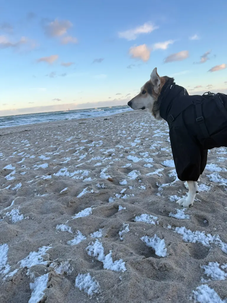 unser erster und letzter Urlaub mit dir, an der Ostsee