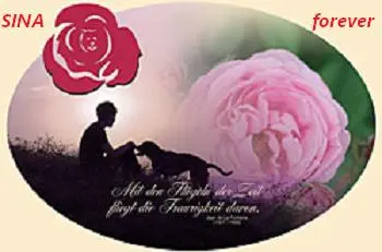 Image from das Rosengarten - Team Badbergen