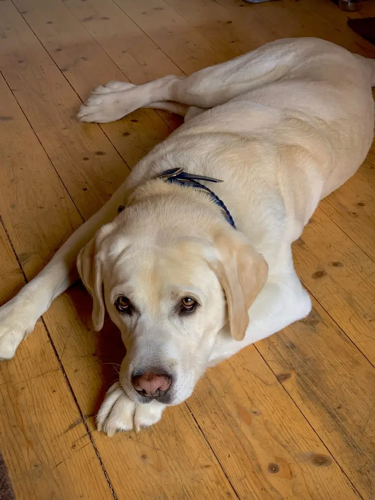 Wann gibt’s Futter?