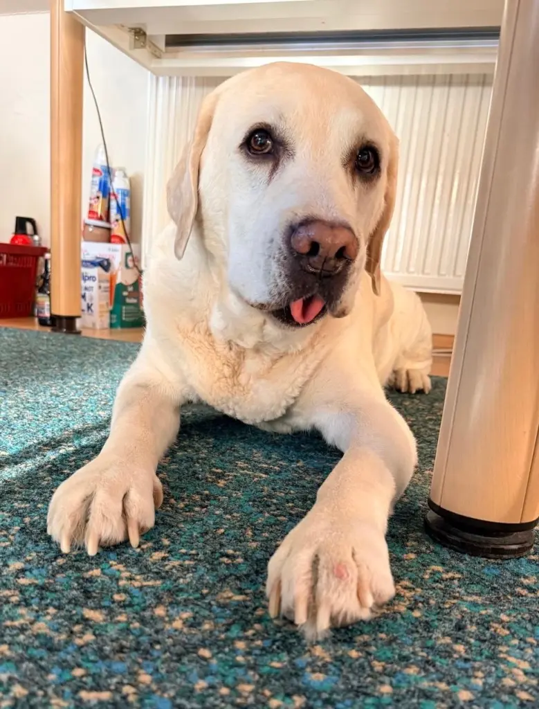 Danke für alles 🤍🫶🏼