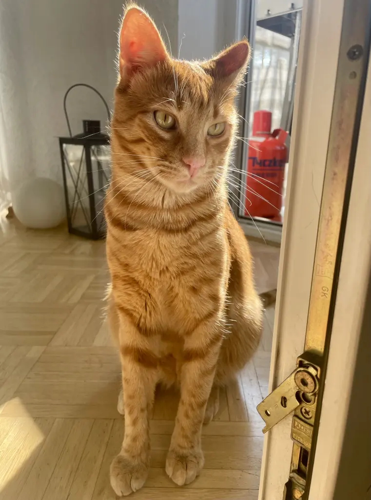 ♥️