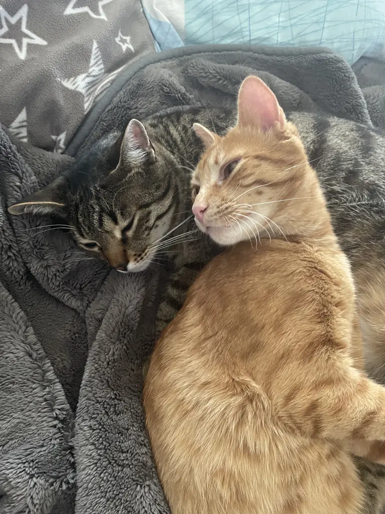 ♥️