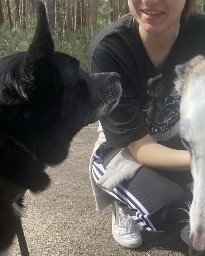 Andachtsbild von Merle