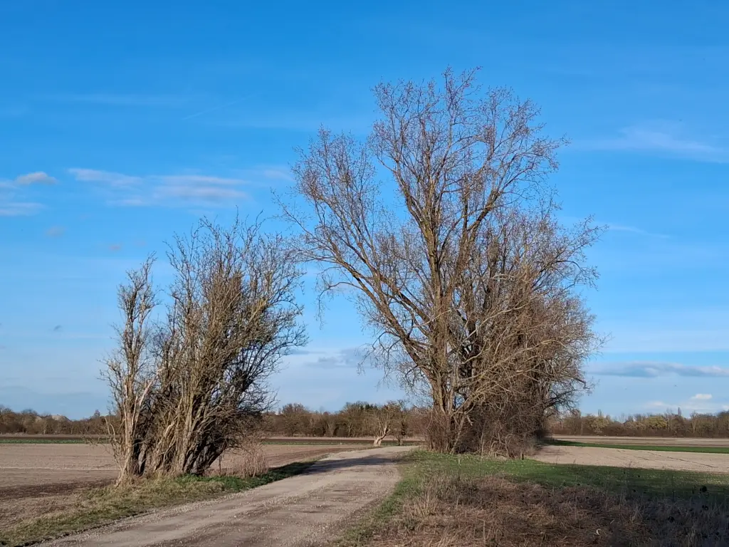 Condolence image of Erika Cremer