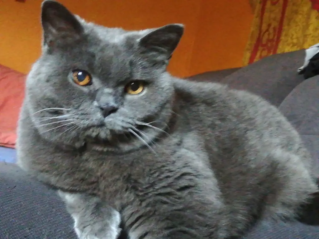 Condolence image of Daniela Babilon