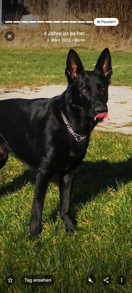 Condolence image of Nadine