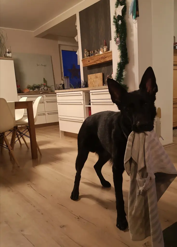 Image from Timber