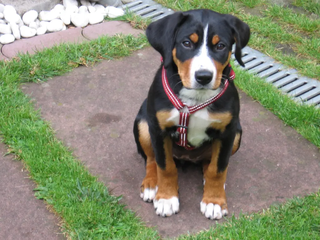 Hallo, ich bin da