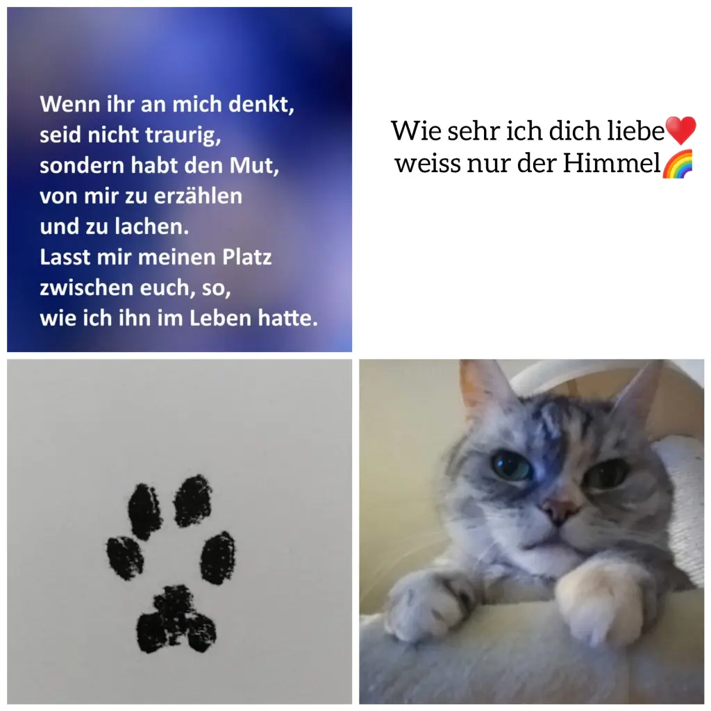 Condolence image of Liebe stirbt nicht