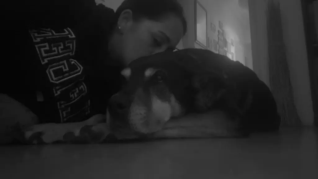 Du hast ein Teil von mir mitgenommen 😭