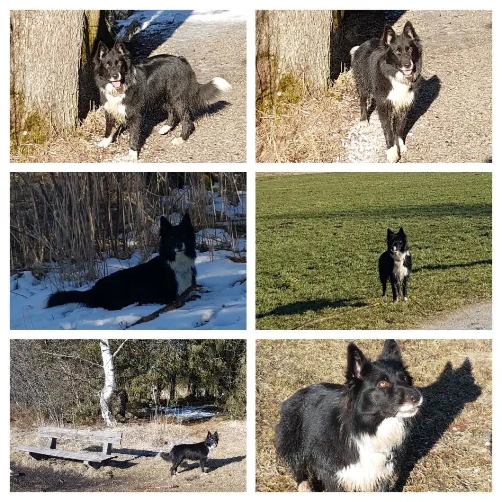 Condolence image of Elisabeth und Dirk